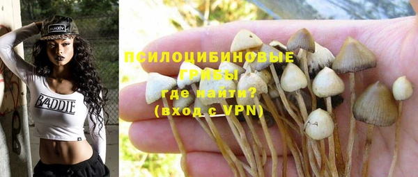 прущий лед Алзамай